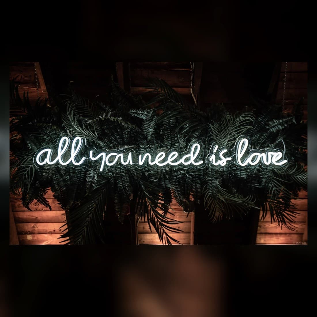 Real white script neon sign reading all you need is love