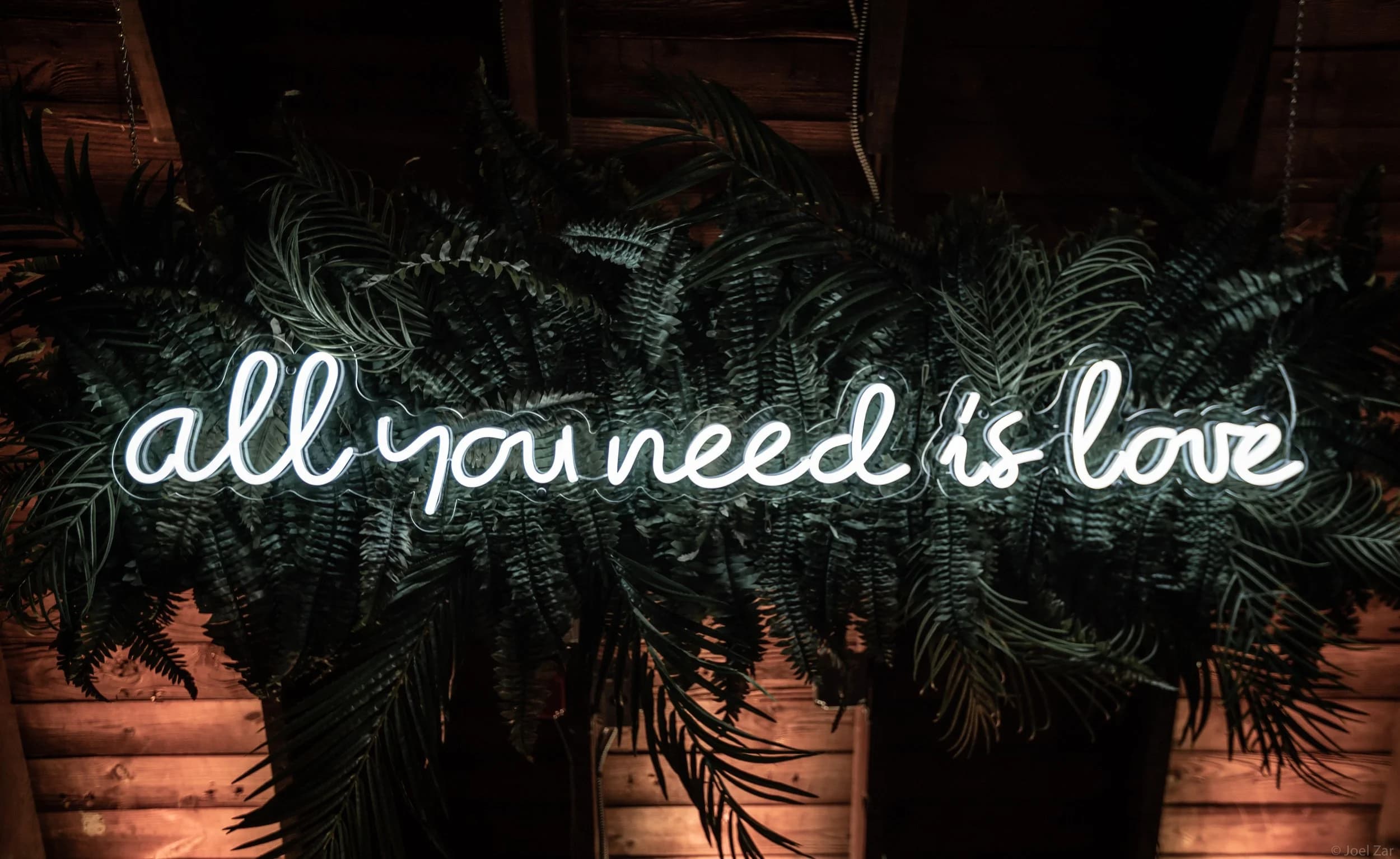 Real white script neon sign glowing on a dark plant wall
